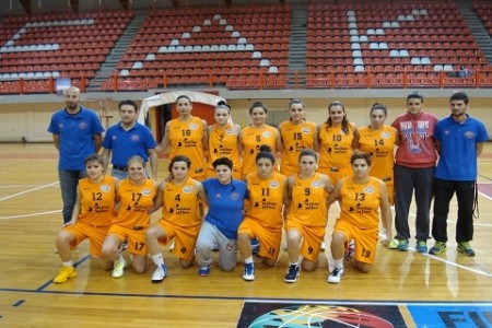 Ομάδα 2012-13
